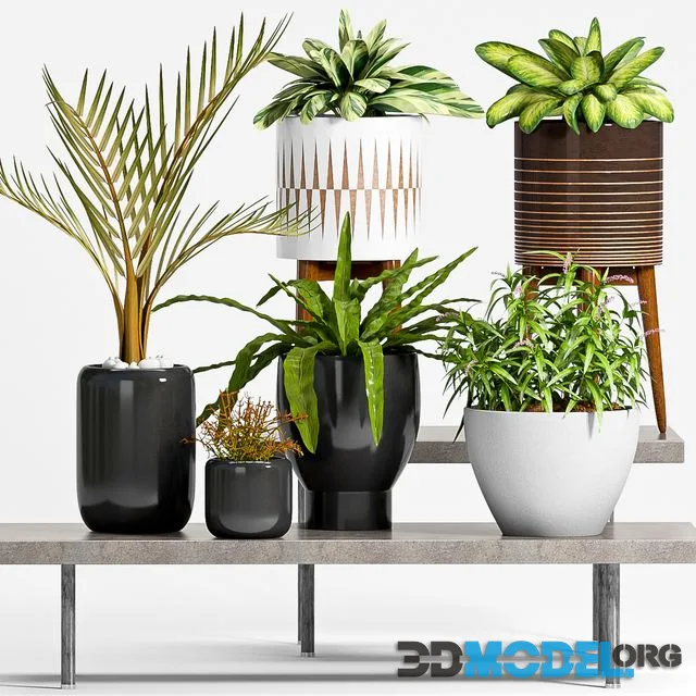 PLANT -50