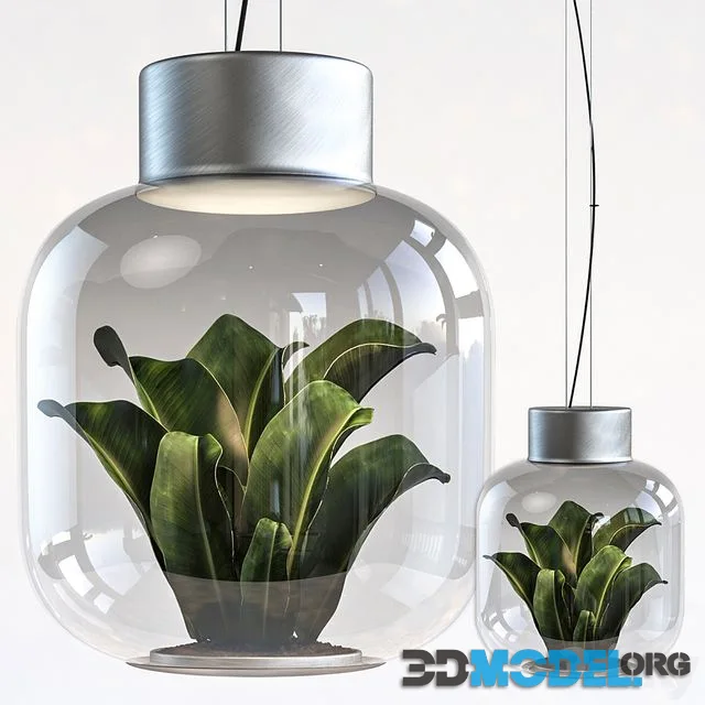 Plant light