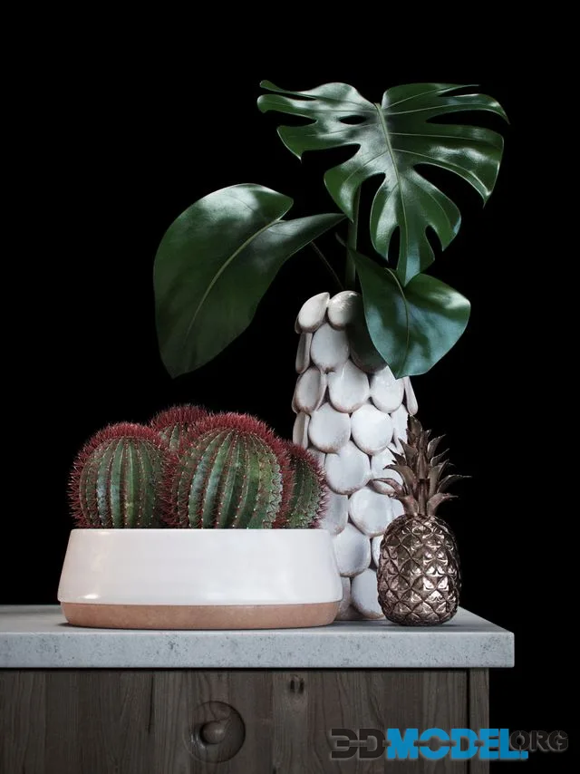 Set decoration with red cactus