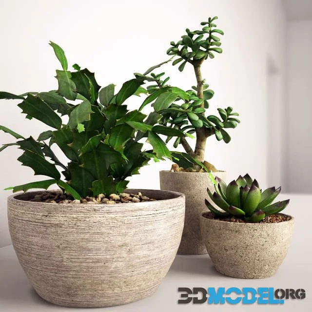 Set of 4 colors, plant