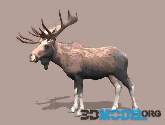 Toon Moose 3D Model (PBR)