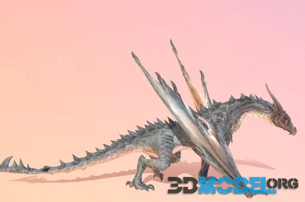 Wyvern Dragon Animated (PBR)