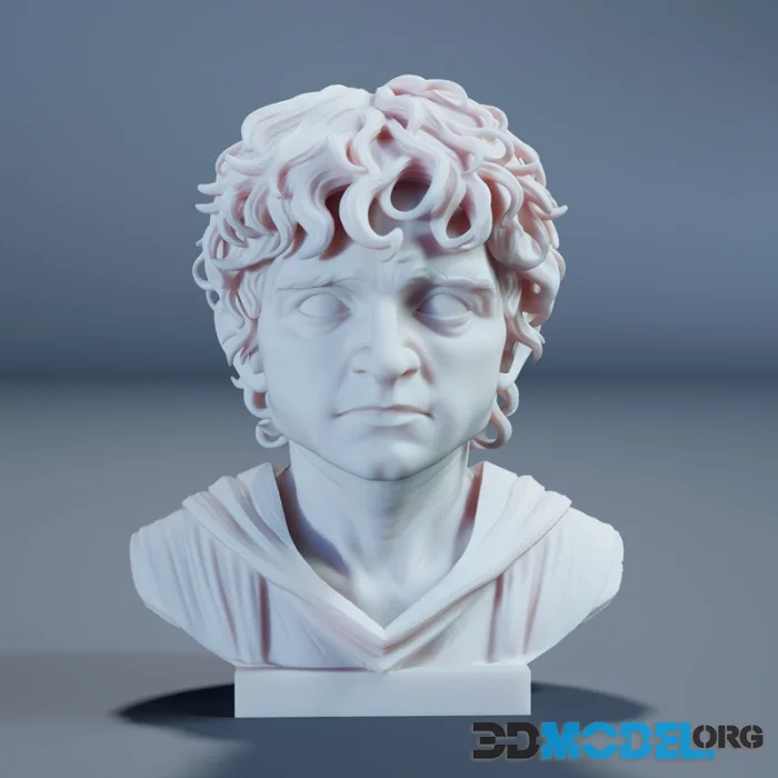 Hobbit Bust – Printable