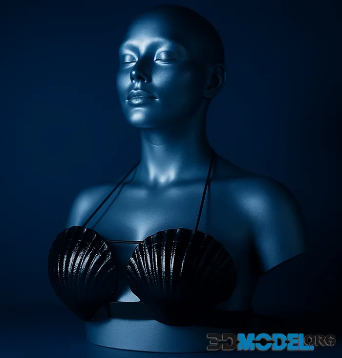 Shell Bra Lingerie – Printable