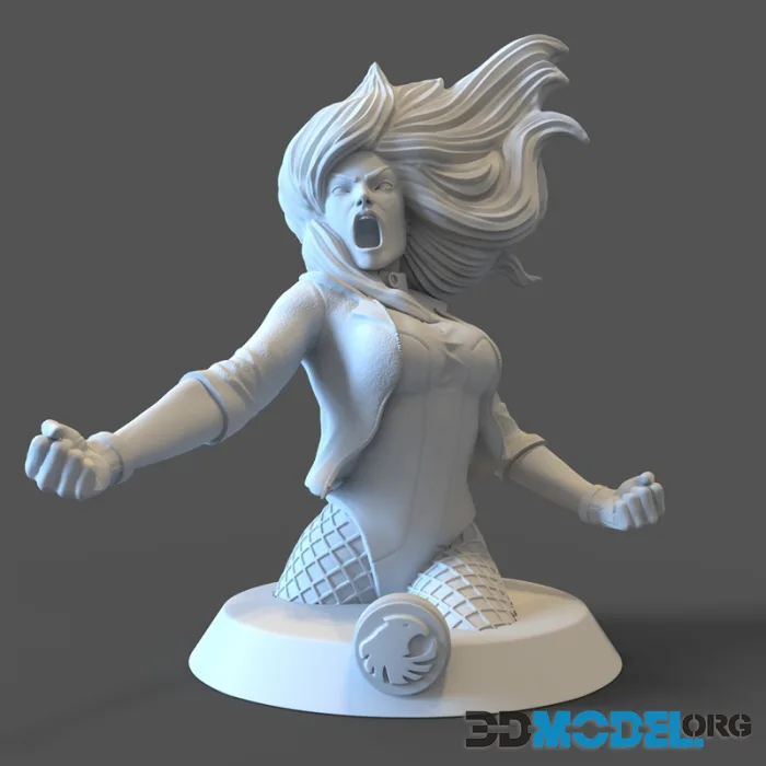 CG Pyro Digital Artist - Black Canary from DC Comics Bust – Printable