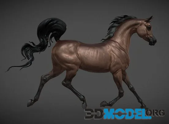 Arabian Horse 3D Sculpting (PBR)