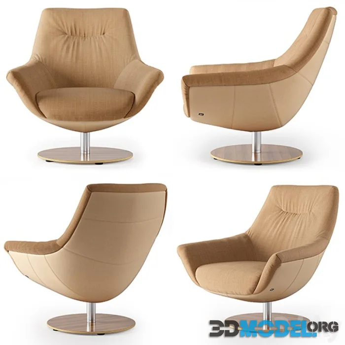 Armchair Rolf Benz 566 (2)