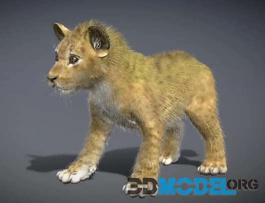 Baby Lion Cub (PBR)