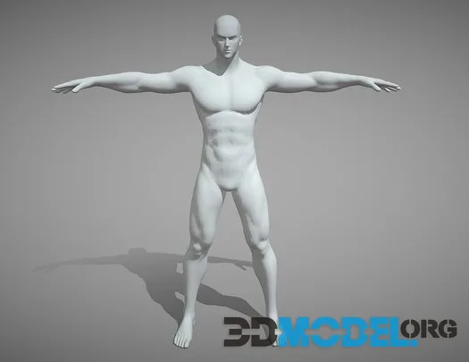 Base Mesh Pack   Stylized Male (PBR)