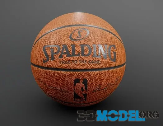 Basketball NBA Spalding PBR (PBR)