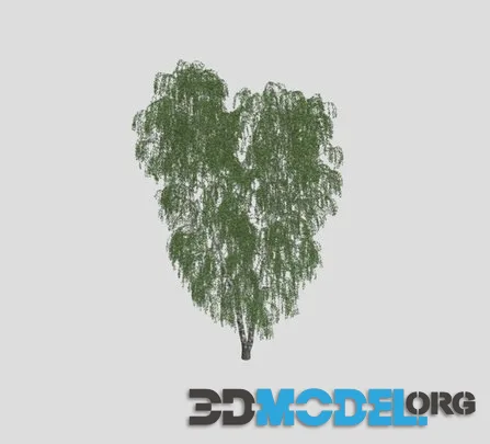 Birch 83 AM258 Archmodel Low-poly