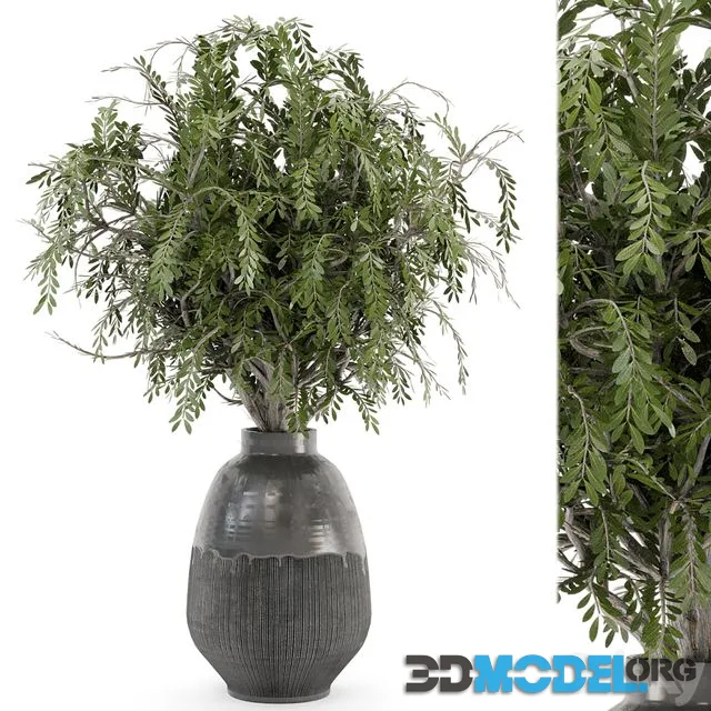 Bouquet Plants in rusty Concrete Pots – Set 562