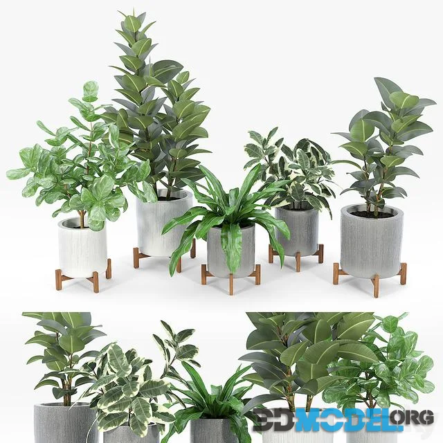 Bungalow planter collection