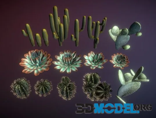 Cactuses Low-poly