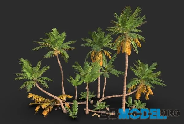 Coconut Palm Trees   Modular Set (PBR)