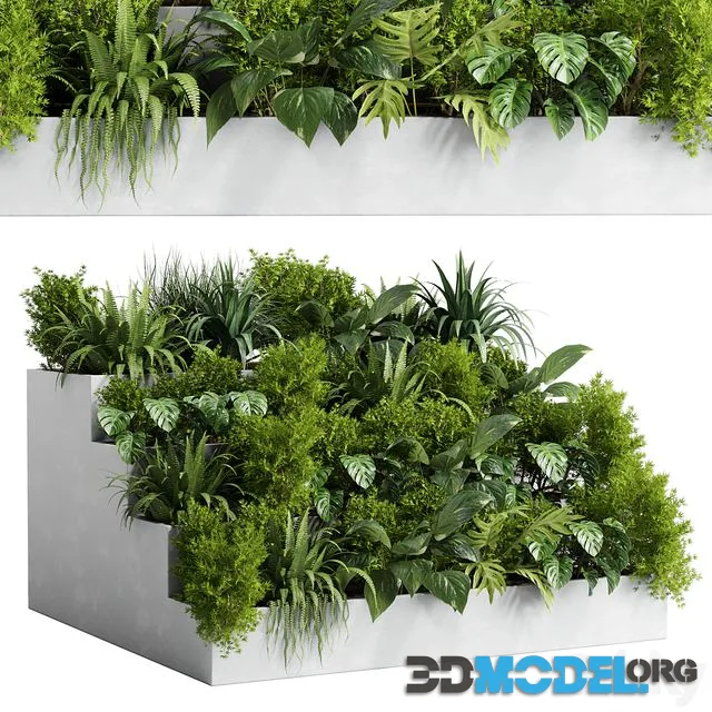 Collection outdoor indoor plant 54 stairs concrete vase pot fern bush grass ficus rubbery
