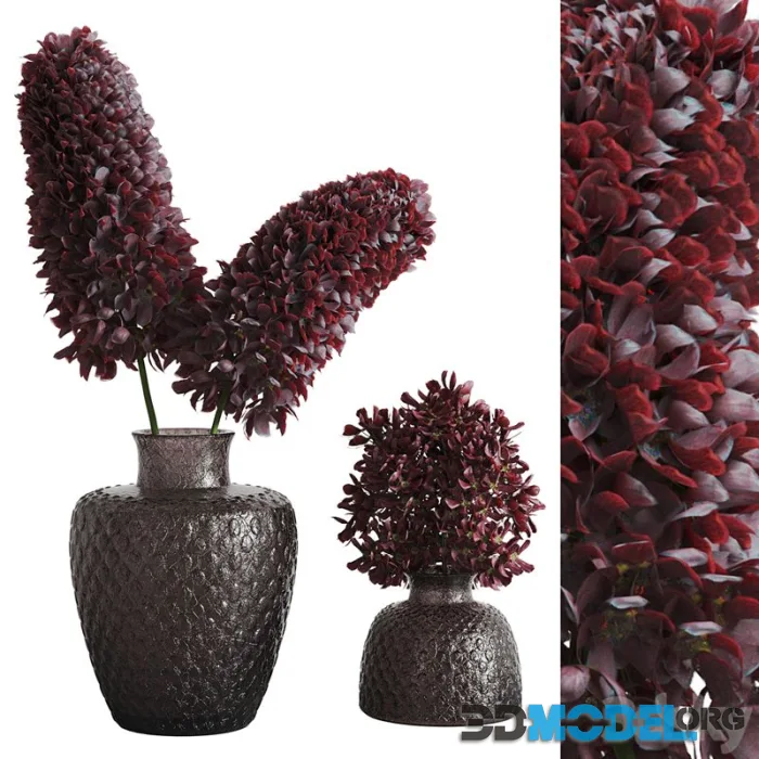 Decorative plants 007