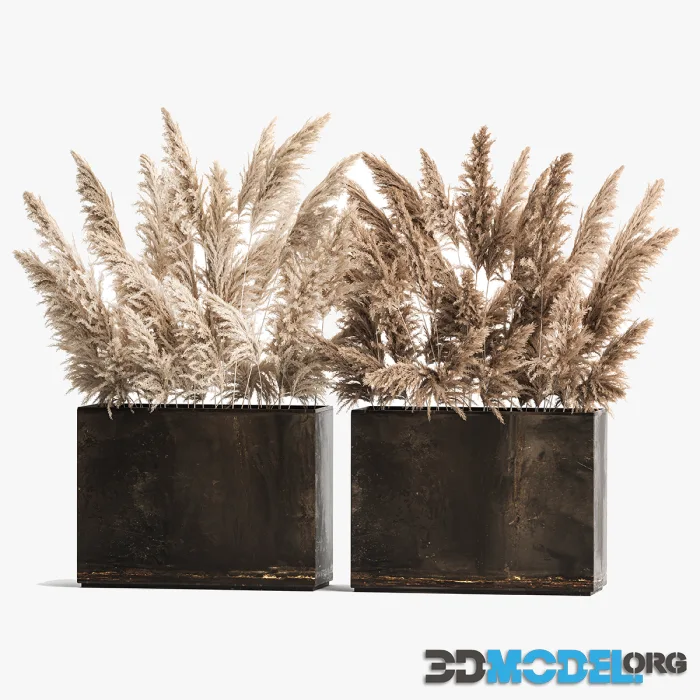 Dried Flower Bouquet of Dried Reeds in a Rusty Metal
