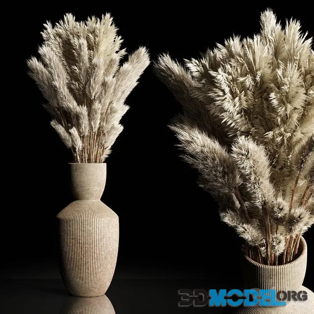 Dry Plants Bouquet Indoor concrete vase