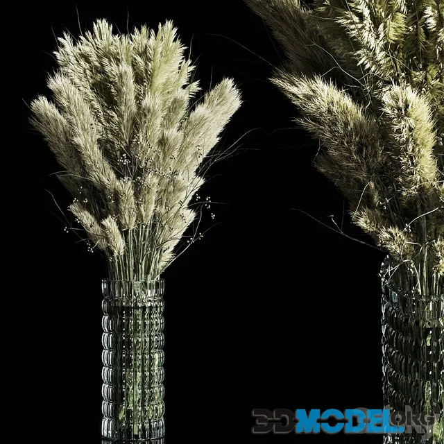 Dry Plants pampas Bouquet Indoor glass vase