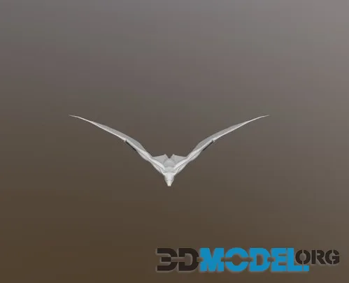 Fruit Bat Flying (PBR)