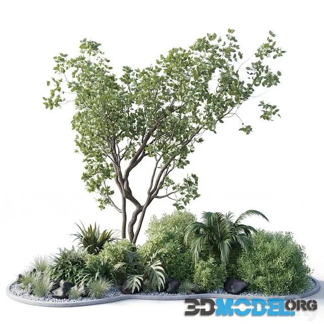 Garden pot tree bush – Collection outdoor indoor 113