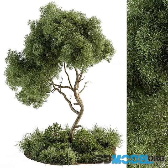 Garden Set Tree and Plants – Outdoor Plants Set 399