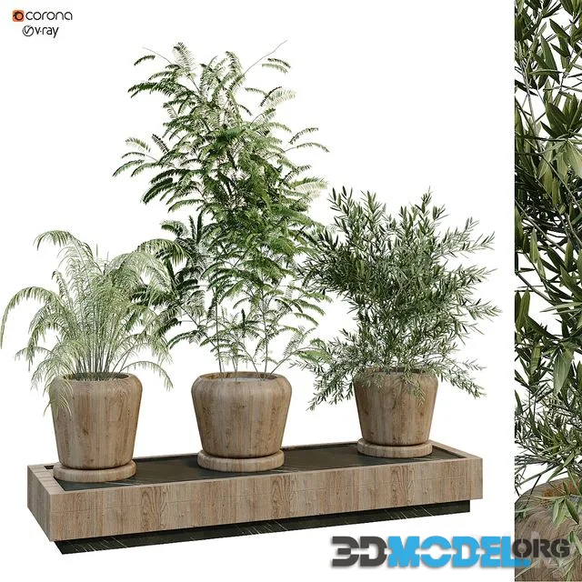 green plant box 269