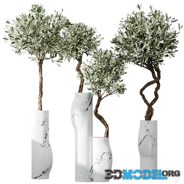 HQ Plants Mission Olive Tree Indoor Vase Set003