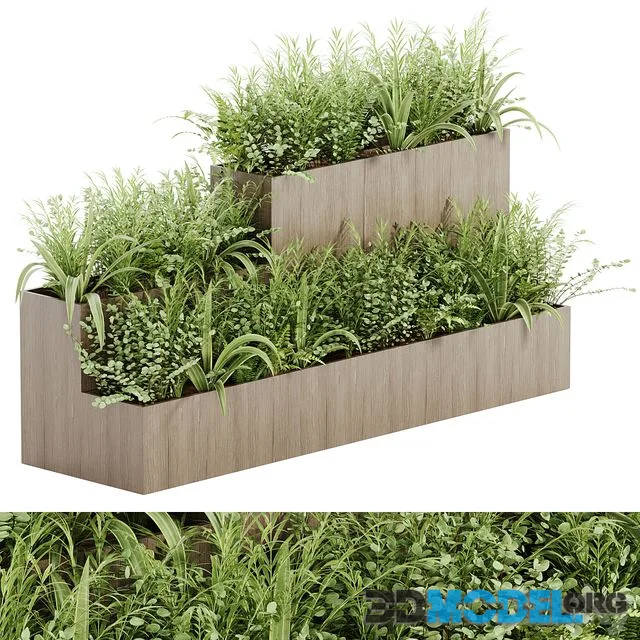 indoor plant Set 21