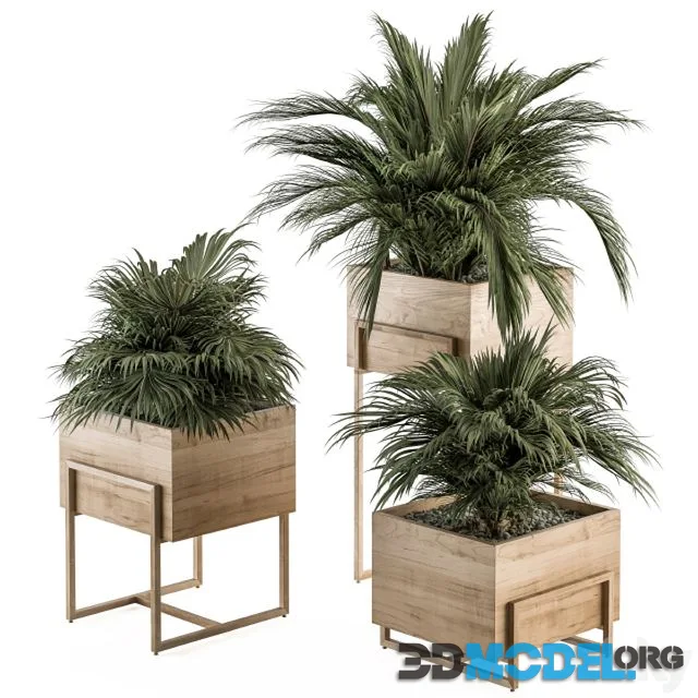indoor Plant Set 318 - Plant Set in Wood Box