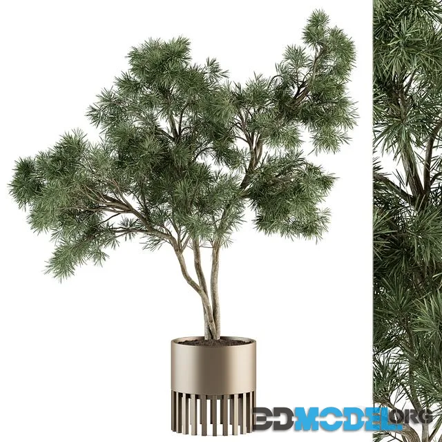 indoor Plant Set 337