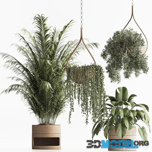 Indoor Plant Set 57 (wooden flowerpots)