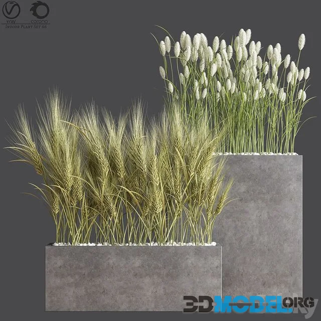 Indoor Plant Set 66 (concrete flowerpot)