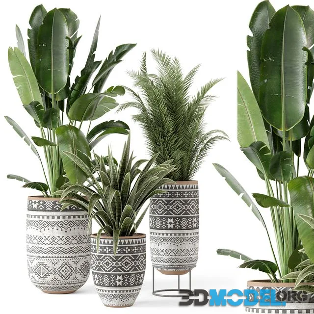 Indoor Plants in rusty Concrete Pot – Set 628