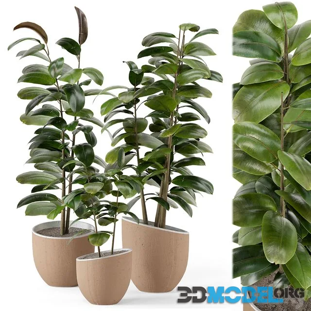 Indoor Plants in rusty Concrete Pot – Set 692