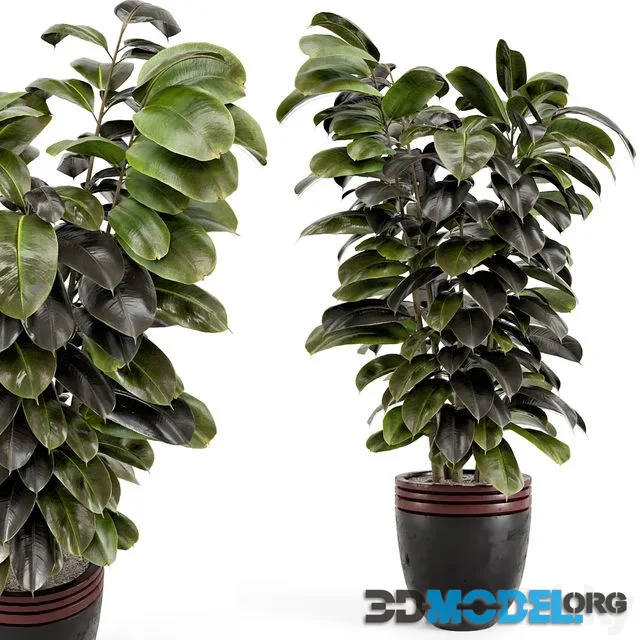 Indoor Plants in rusty Concrete Pot – Set 881