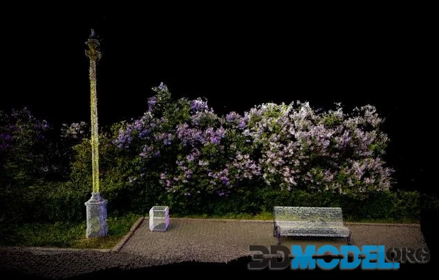 Lilac. Dense Point Cloud (PBR)