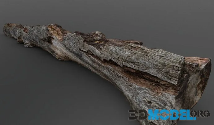 Old Fallen Tree Trunk (PBR)