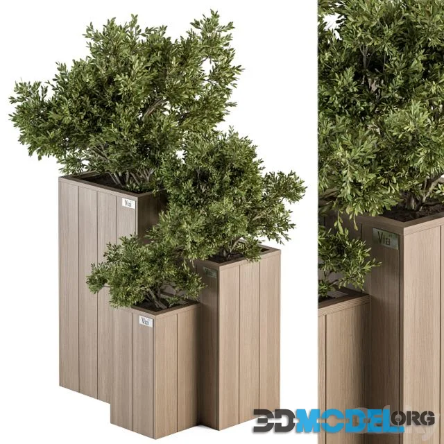 Outdoor Plant Set 298 – Wooden Plant Box