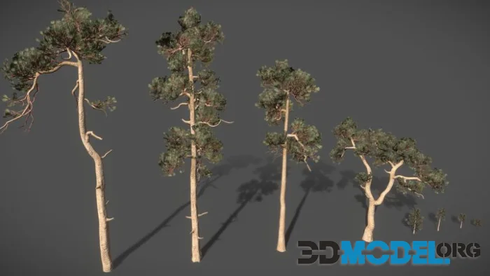 Pines Pack (PBR)