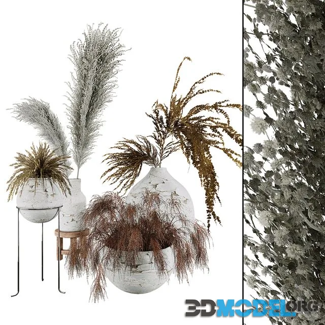 Plant Collection Set 01