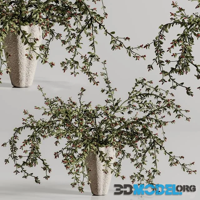 Plants Bouquet Vase 45