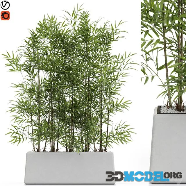 Plants collection 615