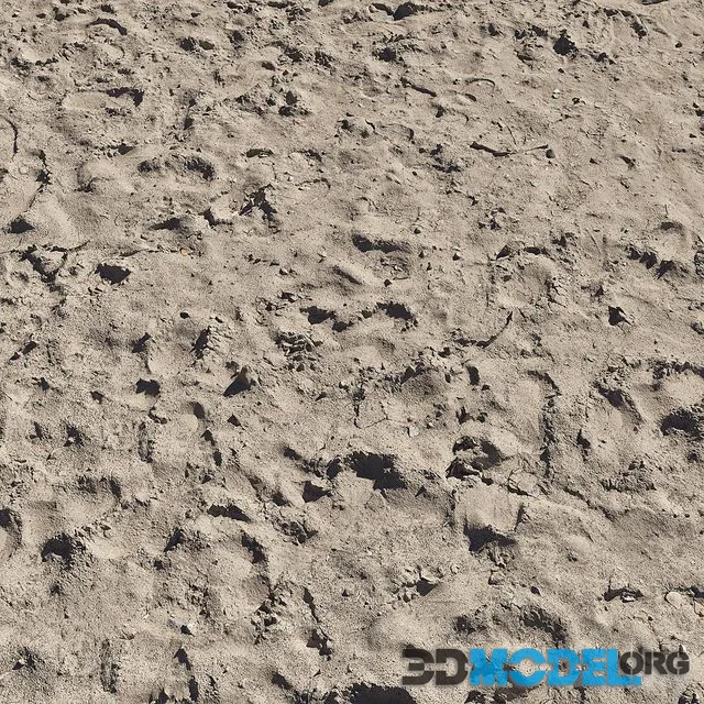 Sand beach_5