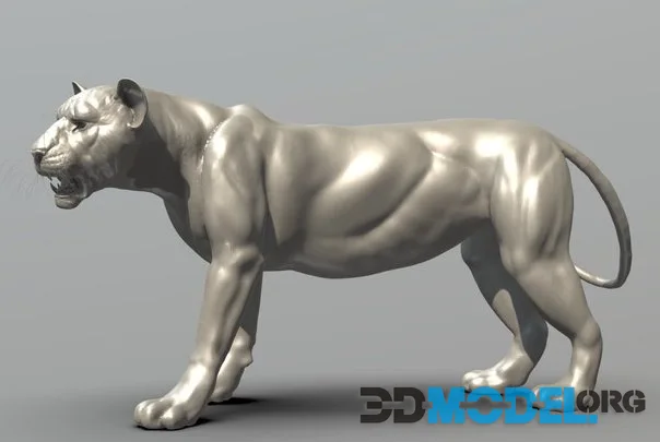 Sculpting   Lion (PBR)