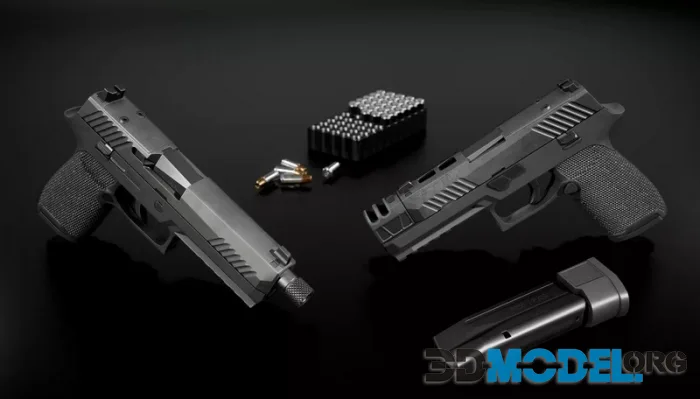 Sig Sauer P320 Full Size Modular 9MM Handgun