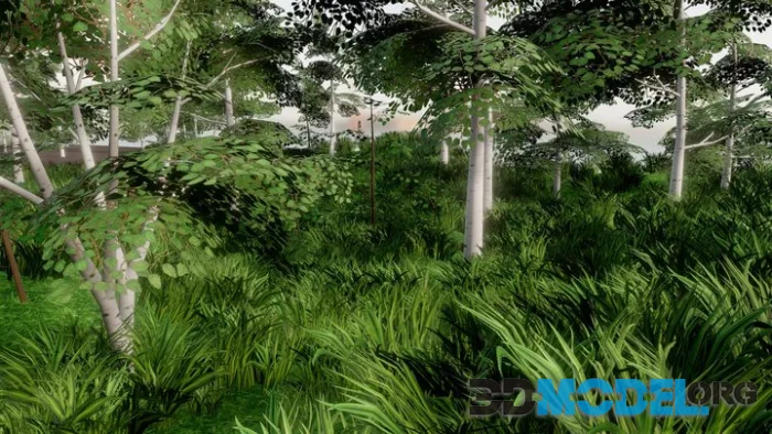 Stylized Forest Low-poly