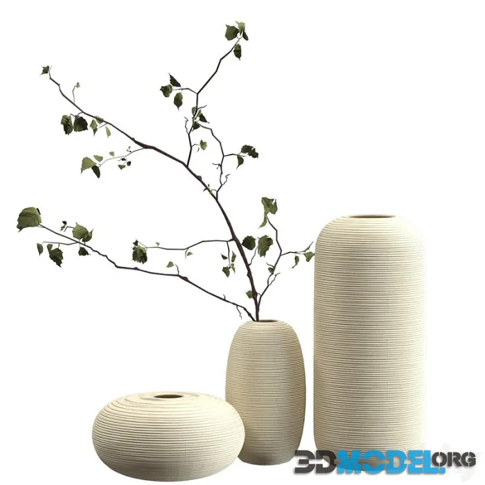 Vases with branch