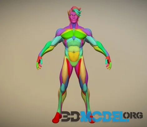 Warrior Stylized Anatomy V1 (PBR)